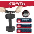 thumbnail image 3 of Glue Mouse Traps Indoor for Home -12 Pack Sticky MouseTraps Indoor for Safe Home Pest Control. Pre-Scented, Non-Toxic Glue Boards for Mice, Mouse & & Insects. Easy to Use, 3 of 7