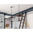 thumbnail image 2 of Kichler 52474 Dame 2 Light 13" Wide Taper Candle Pendant - Character Bronze, 2 of 10
