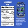 thumbnail image 2 of Humm Kombucha, Blueberry Mint, 12 Pack, 12 oz Cans, 2 of 6