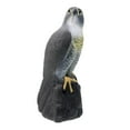 thumbnail image 3 of Realistic Eagle Hunting Decoy Control Bird Pigeon Scarer Scarecrow for Home Garden Balcony Patio Ornament, 3 of 8
