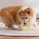 thumbnail image 4 of Anillos interactivos de entrenamiento para perros | Juguetes anti-mordiscos para aliviar la tensión | Juego de rompecabezas de plástico resistente a las mordeduras para estimulación mental y a, 4 of 5