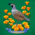 thumbnail image 3 of CafePress - California Quail And Golden Poppy T Shirt - Women's Traditional Fit Dark T-Shirt, 3 of 4