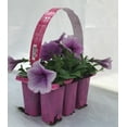 thumbnail image 3 of Expert Gardener 306 PK Multicolor Petunia Wave (1 pack) Grower pot, 3 of 8