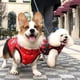 thumbnail image 5 of Puppy Clothes Winter Dog Coat Jacket for Small Medium Dog Reflective Costume Pet Apparel Chihuahua French Bulldog Pug Outfits ShopWise Round, 5 of 17