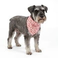 thumbnail image 1 of One Paw, Fun Print Dog Watermelon Bandana, Lightweight, Multiple Sizes, Pink, for Dogs, 1 of 7