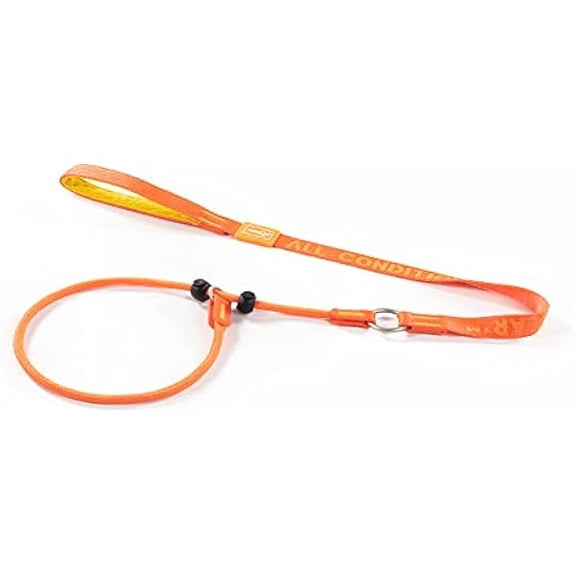 Eryueer Howgo Dog Slip Lead Dog Leash, Training Leash, No-Pull Lightweight Slip Lead and Collar, Heavy Duty & Durable, Padded Handle, for All Breeds (Orange, 3.6FT)