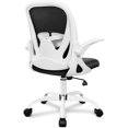 thumbnail image 1 of Primy Ergonomic Office Chair Desk Chair with Adjustable Lumbar Support(White), 1 of 6