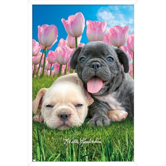 Keith Kimberlin - Bulldog Puppies Wall Poster, 14.725" x 22.375", Framed