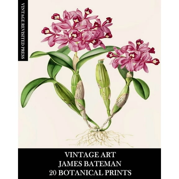 Vintage Art: James Bateman: 20 Botanical Prints: Orchid Ephemera for Framing, Home Decor, Collage and Decoupage, (Paperback)