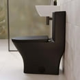 Sublime II OnePiece Round Toilet DualFlush 1.1/1.6 gpf in Matte Black
