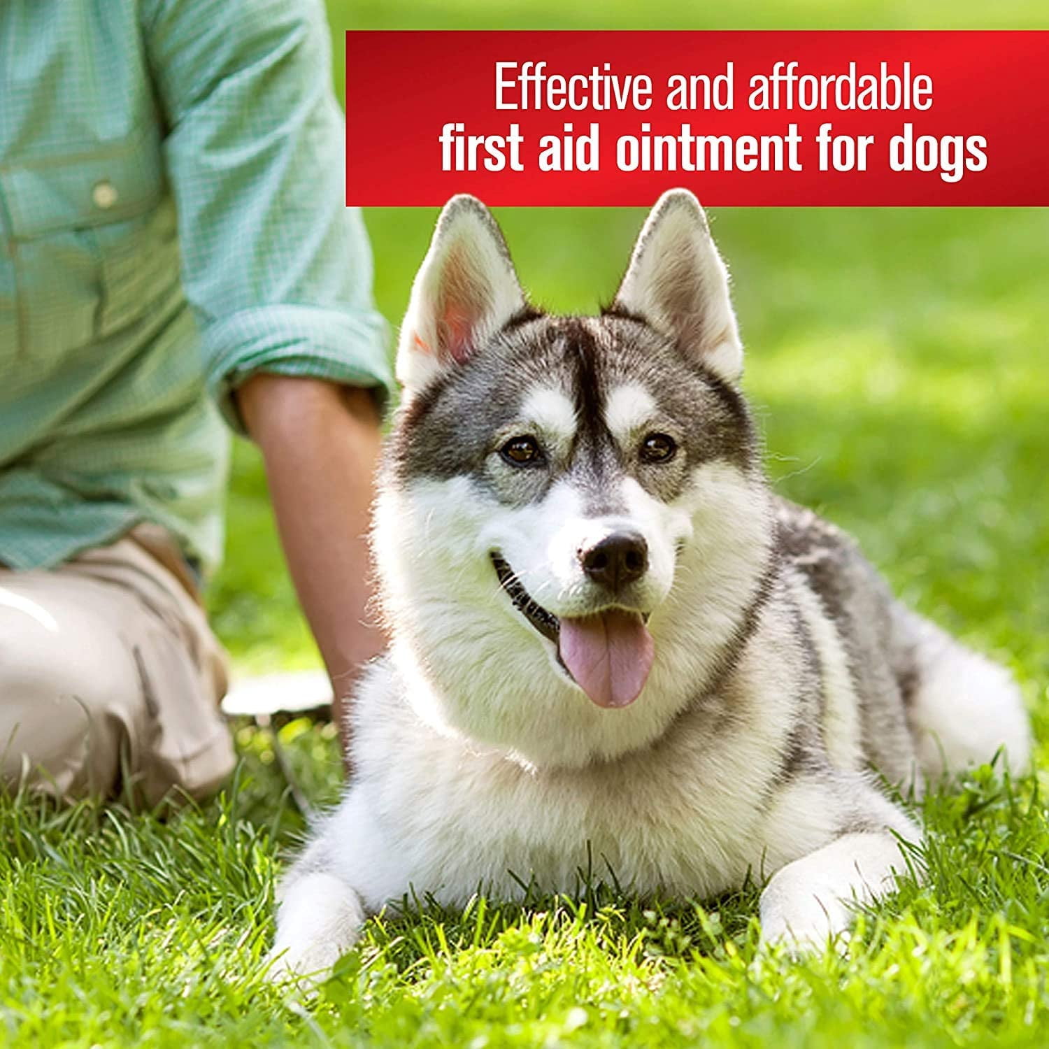 Sulfodene Dog Wound Care Ointment, Relieves Pain & Prevents Infection For Dog Cuts, Scrapes, Bites and Injuries, 2 Ounce