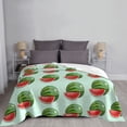 thumbnail image 6 of XMXT Throw Blanket, Green Cartoon Watermelon Machine Washable Blankets for Sofa, 60 x 50 inches Green, 6 of 9
