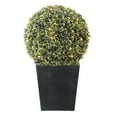 Better Homes & Gardens 20" Outdoor Artificial Topiary Decor in Black