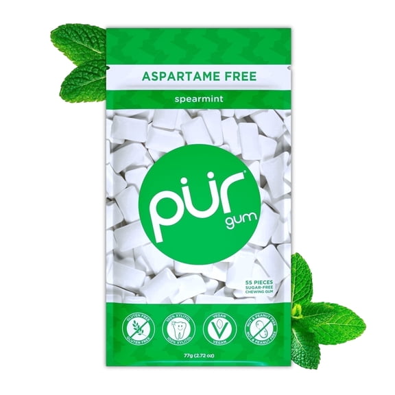Pur Chewing Gum Spearmint Piece Bag 1 ct