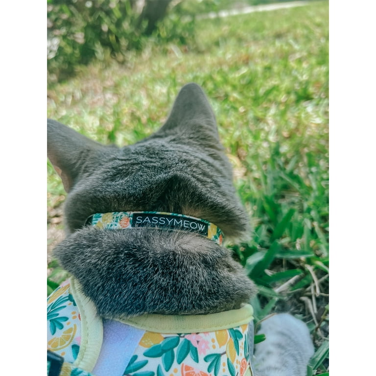 Shamrock ★ Cat  Cat Tree, 65.4 Inches Cat Tower for Indoor Cats, Cat Condo with