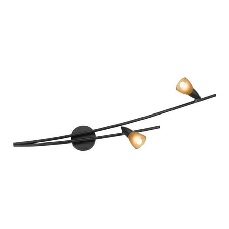 Iris Wall Fixture - Iris 2-Light Wall Fixture