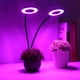 thumbnail image 1 of Lámpara LED para plantas, 18w, 2 cabezales, luz de crecimiento, luz de crecimiento construida para el futuro, 1 of 8