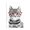 Hipster Cat Portrait_v1, variant on Stupell Industries Contemporary Monochrome Golden Retriever Dog Smiling Glasses Design Black Framed Giclee Art, 11 x 14, by Annalisa Latella