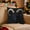 2#, variant on Lekihaqq 2 Packs 2D Printed Animal Pillow Cover Short Plush Cushion Case for Sofa Bed Car Cozy Home Decor Living Room Throw Pillow Accessories