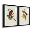 thumbnail image 2 of Wexford Home Elegant Trogons I Premium Framed Print, 26.5" x 36.5" - Ready to Hang, Black (Set of 2), 2 of 9