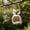White, variant on Rural Owl Shape Wooden Hanging Bird Feeder, Outdoor Garden Bird Feeding Station Decorative Combo, B