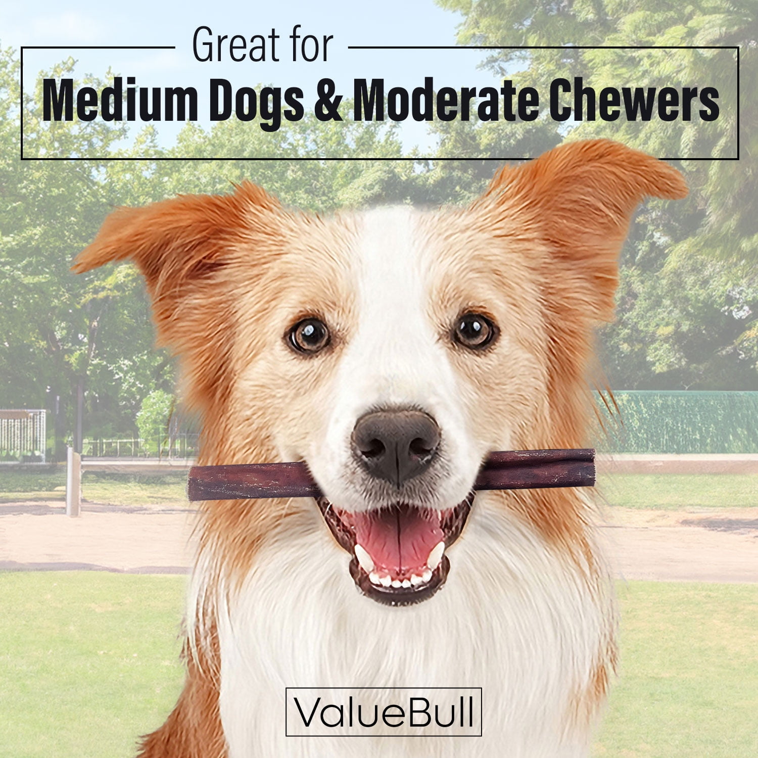 ValueBull Collagen Sticks for Dogs, 6 Inch Medium Chews, Natural Long-Lasting Dog Treats, 100 Count Bulk Pack