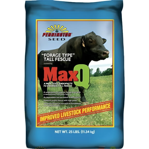 Pennington MaxQ Tall Fescue (Jesup) - 25 Lbs.