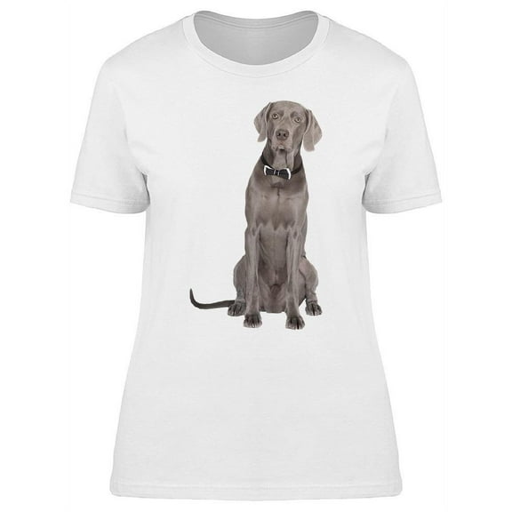 A Sitting Weimaraner, Cute T-Shirt Women -Image by Shutterstock, Female x-Large