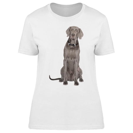 A Sitting Weimaraner Cute T-Shirt Women -Image by Shutterstock Female 3X-Large