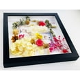 thumbnail image 2 of 22x22 Shadow Box 3/4" Depth Black Picture Frame - UV Acrylic, Backing, Hanging Hardware, 2 of 8