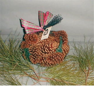  Pine Cones For Crafts In Bulk - Large Fifty Count Bag!