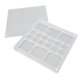 thumbnail image 1 of Caja De Colección De Conchas Marinas, Caja De Presentación Transparente De Conchas Marinas Con Cierre Seguro Para Estrellas De Mar, 1 of 7