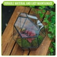 thumbnail image 5 of NCYP Small Close Geometric Terrarium with Door, Black Irregular Glass Planter, 5 of 10