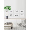 thumbnail image 5 of Trees and Plants Hexaptych, 5 of 6