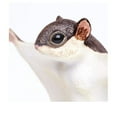 thumbnail image 6 of Safari Ltd. Flying Squirrel Figurine - Lifelike 6.5" Model Figure - Educational Toy for Boys, Girls, and Kids Ages 18 months+, 6 of 7