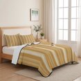 thumbnail image 5 of Quilts Queen Size, Orange Stripes Soft Comforter Bedding Set for Bed, Farmhouse Vertical Striped Vintage Lightweight Quilted Bedspread with Pillow Cover(2 Pieces) for All Season, 90x96 Inch, 5 of 9