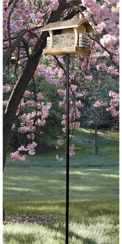 3 Pc Birdfeeder Pole Kit by Woodlink