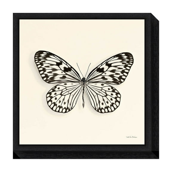 Amanti Art Butterfly V Crop Framed Canvas Wall Art