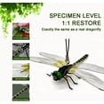 thumbnail image 2 of Dragonfly Fly Repellent 4 Pack, Realistic Artificial Dragonfly Outdoor Hanging Decor, Garden Patio Pest Control Ornament Durable PVC Natural Deterrent, 2 of 7