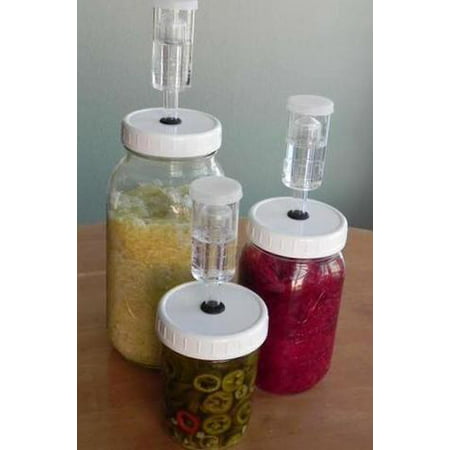 Easy Fermentation Kits! (Set of 3) Regular Mouth, Make Your Own Sauerkraut, Fermented Pickles and