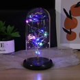 thumbnail image 3 of Flor de hoja de oro Cubierta de vidrio rosa con luz LED Flor eterna Día de San Valentín Adorno de Navidad (Azul) JAMW Sencillez, 3 of 5