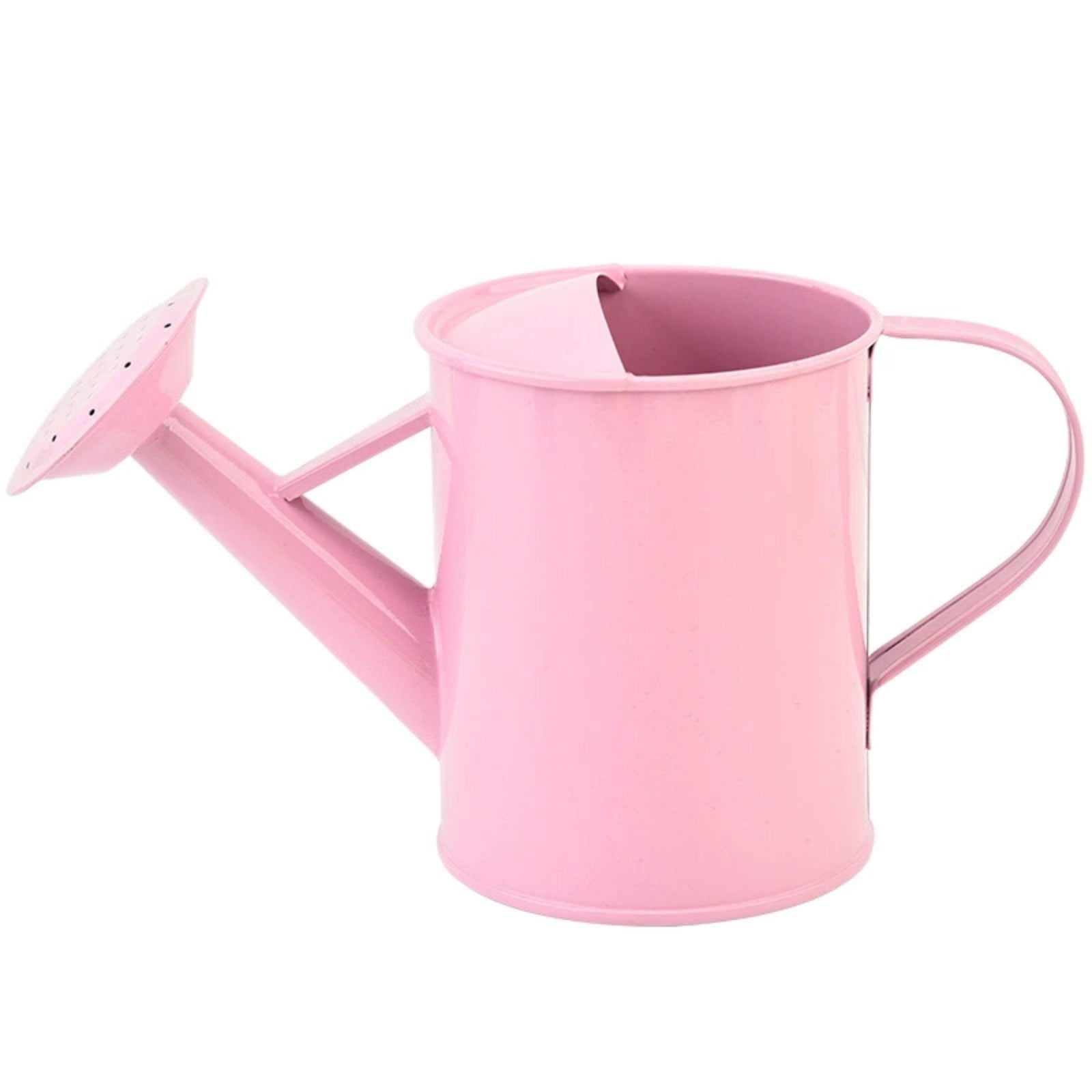 Metal Watering Can with Copper Accents, Silver Finish, One Gallon Capacity, Removable Rosette Diffuser for Gentle Watering, Rust Resistant, Garden Tool