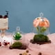 thumbnail image 5 of Vitrina con forma de cúpula de cristal REFSAVER para plantas y objetos de colección, 5 of 7