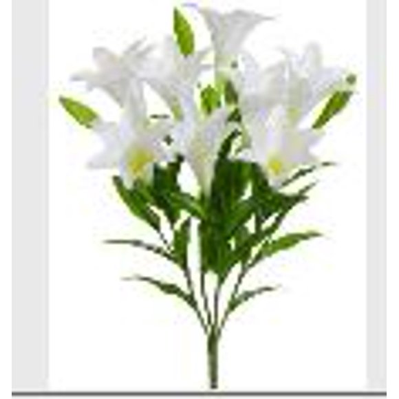 Easter Lilies