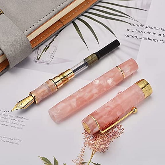 Jinhao 100 Classic Fountain Pen Pink, Extra Fine Nib with Converter and Pen Case Set