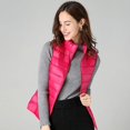 thumbnail image 3 of Chaleco de plumón ligero para mujer, chaleco ajustado de cuello alto corto, chaleco de plumón de otoño e invierno, chaleco de talla grande para mujer, 3 of 6