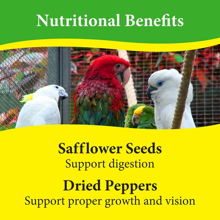 Can Parrots Eat Raw Pumpkin Seeds? Discover the Surprising Benefits!