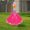 multicolor_Base#10098, variant on Hawaiian Grass Skirt White Goose Yard Sculpture Festival Decoration Set, Waterproof Outdoor Holiday Decorative Flag for Garden, Graduation, Summer, Christmas, Thanksgiving