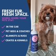 thumbnail image 3 of Spray de colonia para mascotas MIMO MIMO PAWS 473 ml aroma fresco, 3 of 9