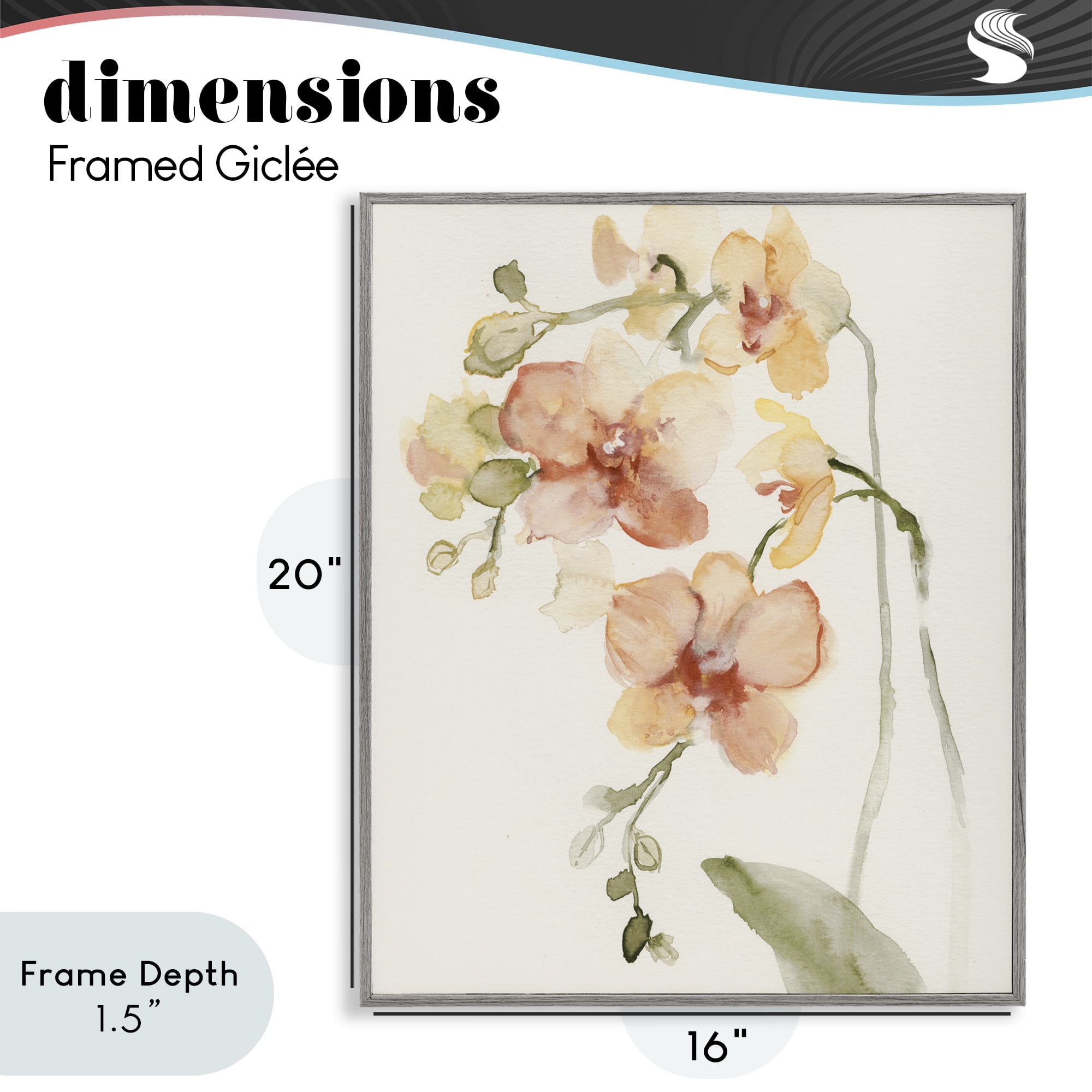 Stupell Industries Peach Orchid in Bloom Gray Framed Giclee Art, design by Victoria Barnes